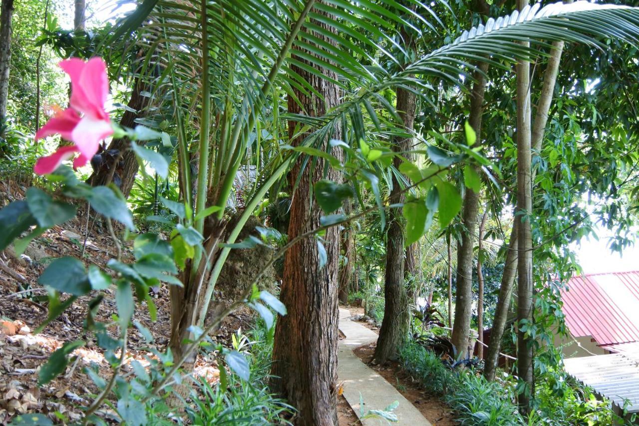 Nice View Bungalow Koh Chang Ranong Exterior photo